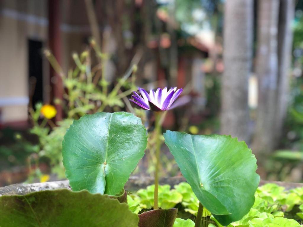 Castaways Resort Phú Quốc Eksteriør billede