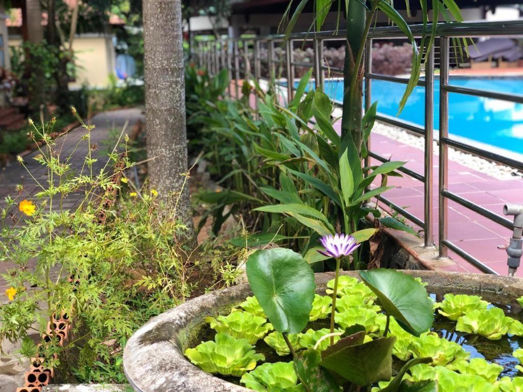 Castaways Resort Phú Quốc Eksteriør billede