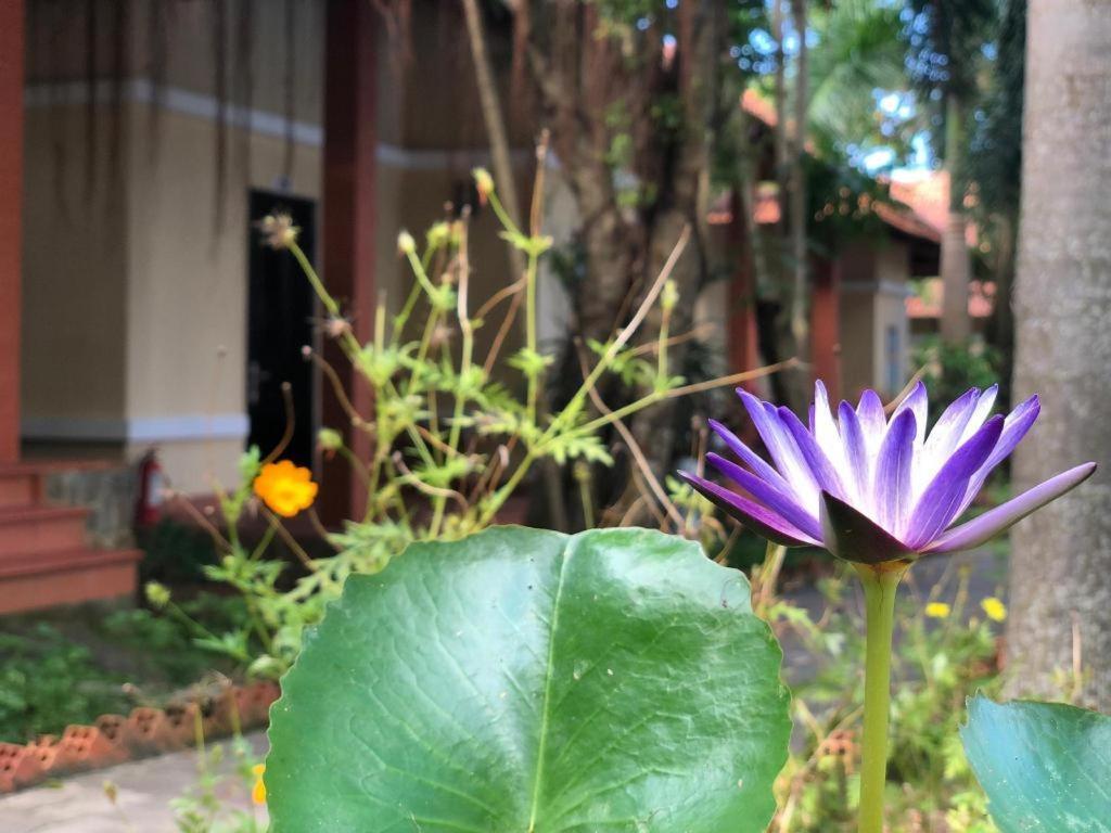 Castaways Resort Phú Quốc Eksteriør billede